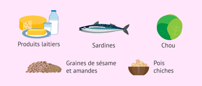 Imagen: Aliments riches en calcium