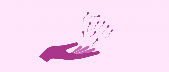 Spermatozoïdes de donneur
