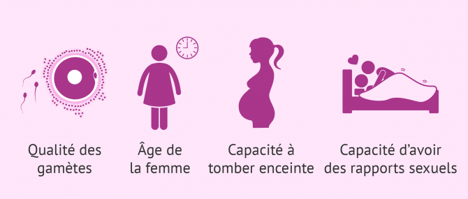 Imagen: Spermatozoïdes vers l'ovule
