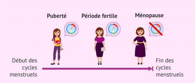 Imagen: La fertilité de la femme en fonction de l'étape reproductive