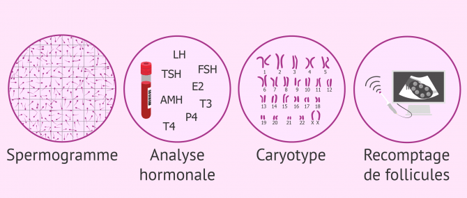 Imagen: Examens du bilan de fertilité