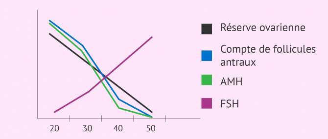 Relation entre FSH, AMH, compte folliculaire et réserve ovarienne