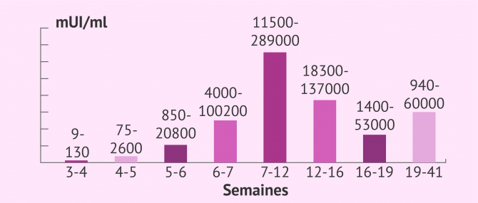 Taux d'hormone beta hCG selon les semaines de grossesse