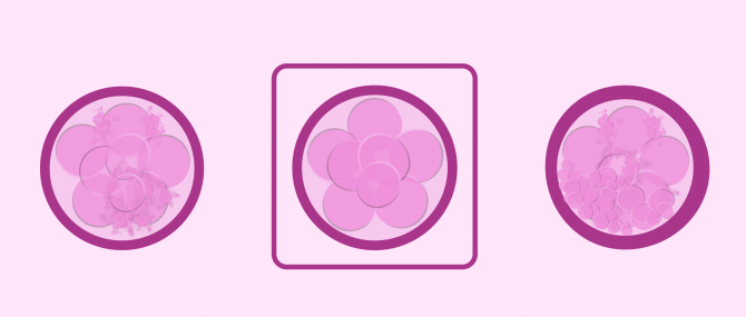 Comparaison de la qualité embryonnaire