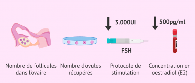 Facteurs de faible réponse ovarienne