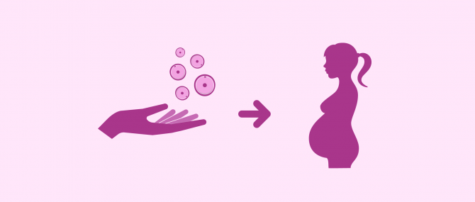 Grossesse par don d'ovocytes