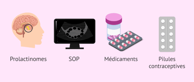 Imagen: Comment diminuer la production de lait?