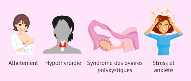 Imagen: Symptomatologie de l'augmentation de la quantité de lait