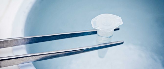 Pilules de sperme pour la cryoconservation