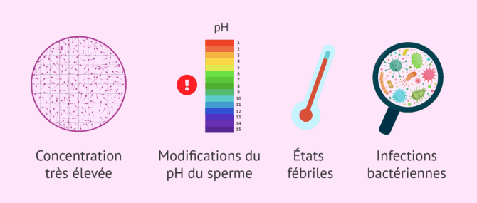 Imagen: Causes de l'agglutination des spermatozoïdes
