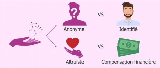 Un don de sperme peut s'effectuer suivant différentes modalités