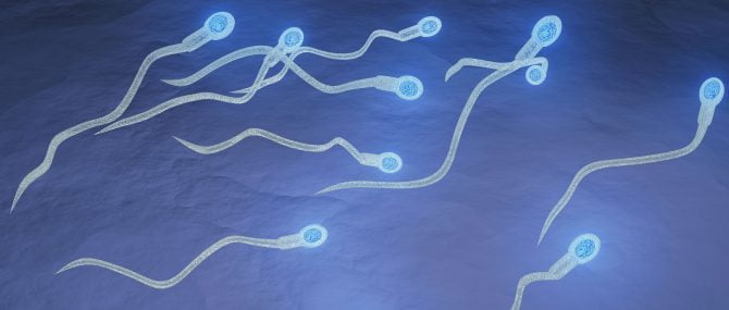 Don de sperme pour FIV