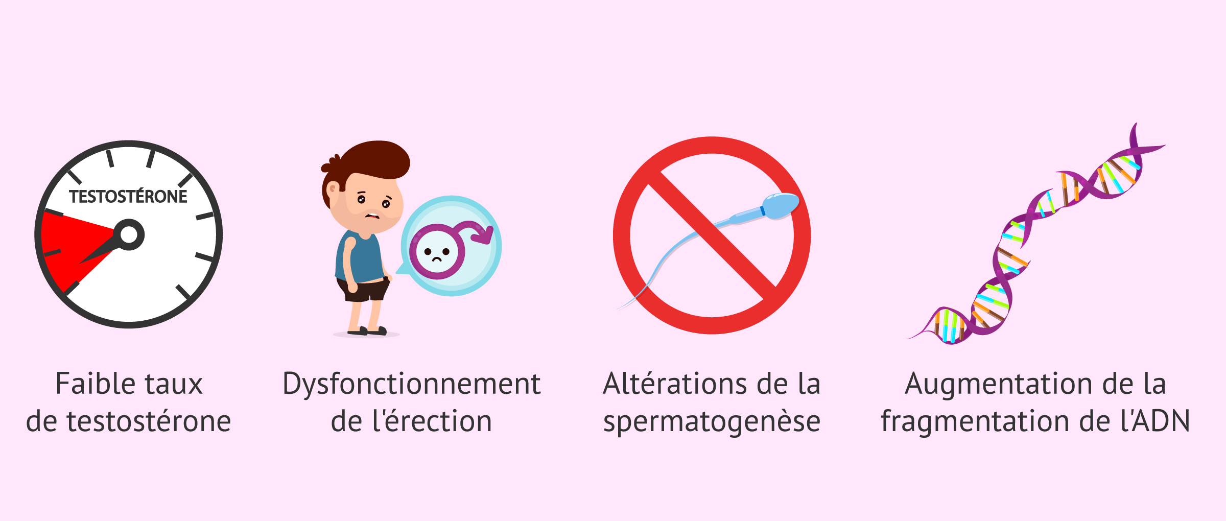 Effet de la surcharge pondérale sur la fertilité masculine