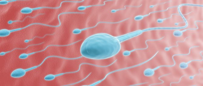 Coûts du don de sperme