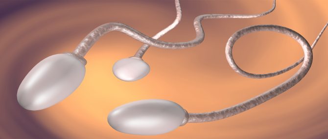 Mauvaise qualité du sperme