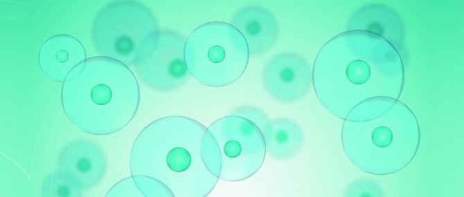 Problèmes de réserve ovarienne