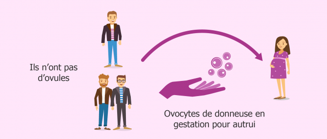 Don d'ovocytes en GPA en cas d'incapacité biologique