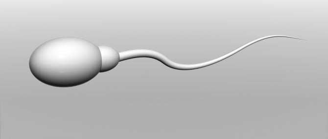 Analyse de l'échantillon de sperme