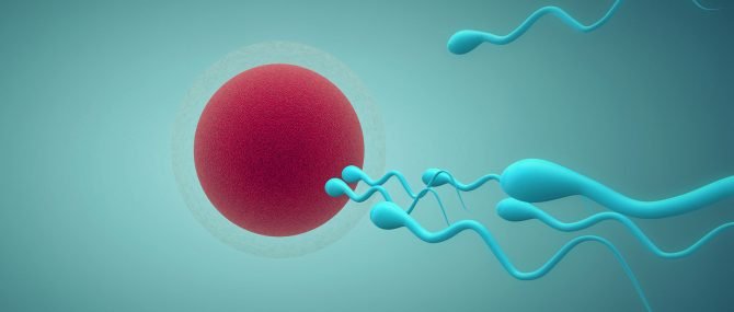 Don d'ovocytes et de sperme en Grèce