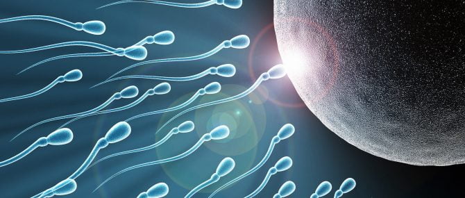 FIV avec don de sperme anonyme