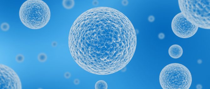 Le don d'ovocytes comme solution