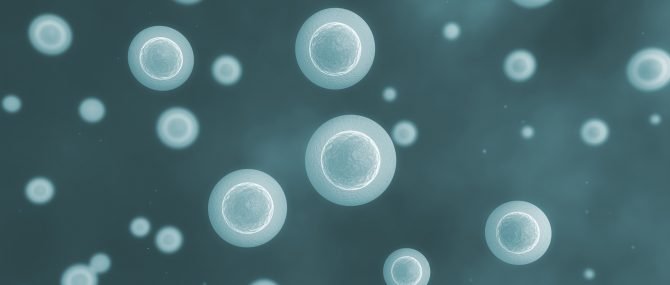 Qualité des ovocytes de donneuse