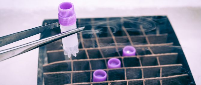 Sperme de donneur congelé