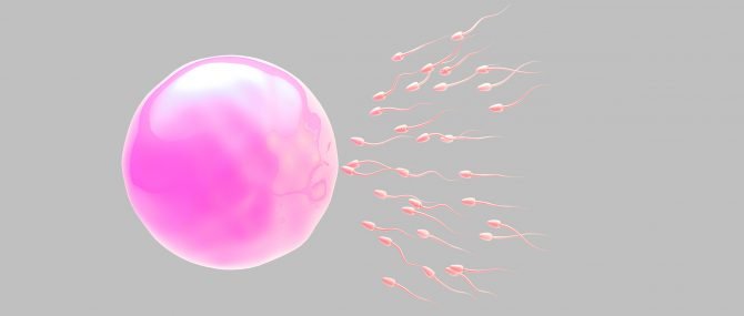 Fécondation in vitro avec don de sperme