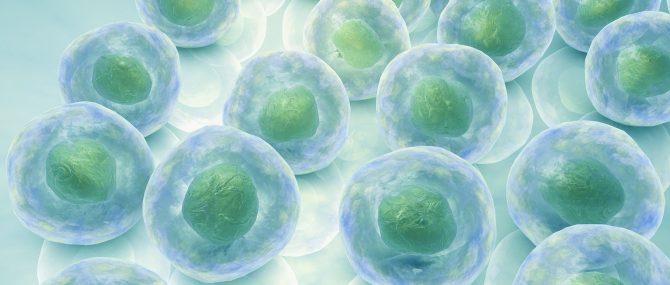 Impossibilité d'utiliser ses propres ovocytes