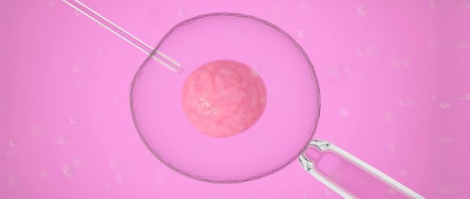 Traitements de fertilité en République tchèque