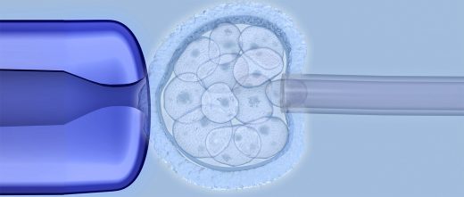 Extraction d'un blastomère