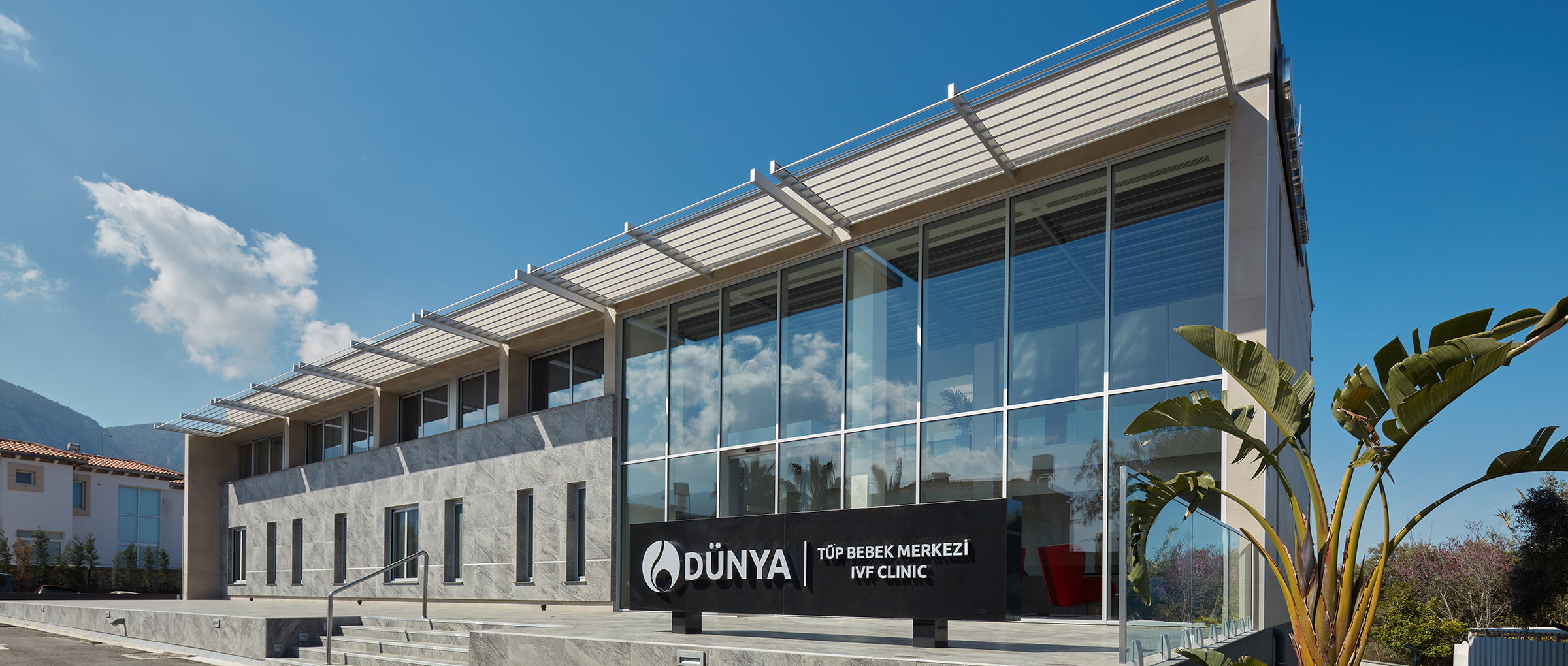Dünya IVF