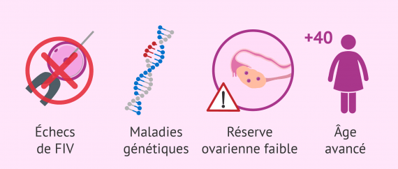 Qui a besoin du don d'ovocytes ?