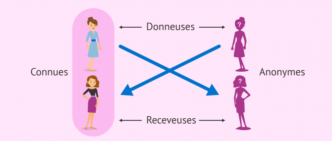 Le don relationnel croisé