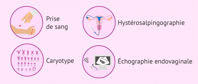 Bilan de fertilité féminine
