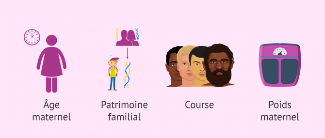 Imagen: Facteurs influençant la grossesse multiple naturelle