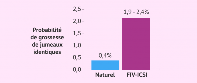 Imagen: Probabilité de vrais jumeaux par FIV