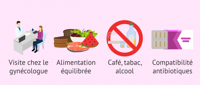 Recommandations semaine 2 grossesse
