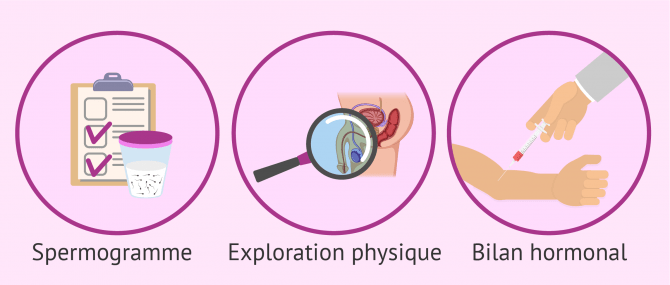 Examens de fertilité réalisés chez l'homme