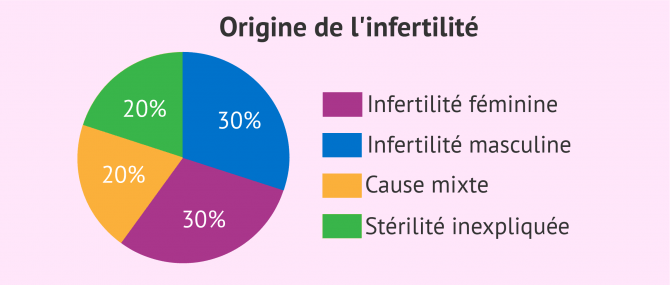 Origine de l'infertilité du couple
