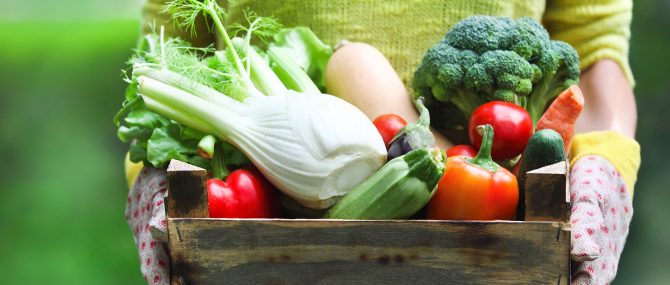 Alimentation pour augmenter l'épaisseur endométriale