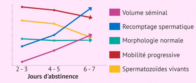 Changements provoqués par l'abstinence sexuelle sur la qualité du sperme