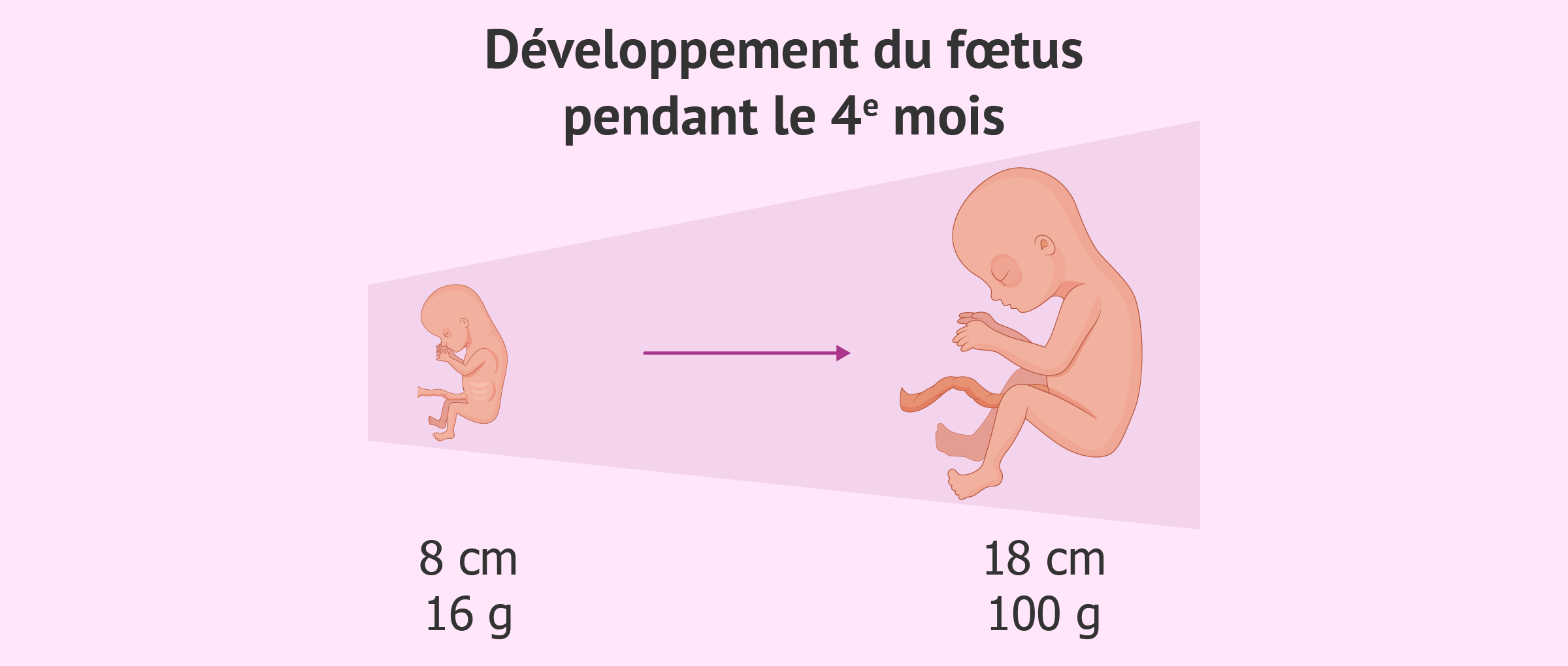 Comment Savoir Combien De Mois De Grossesse HNBN