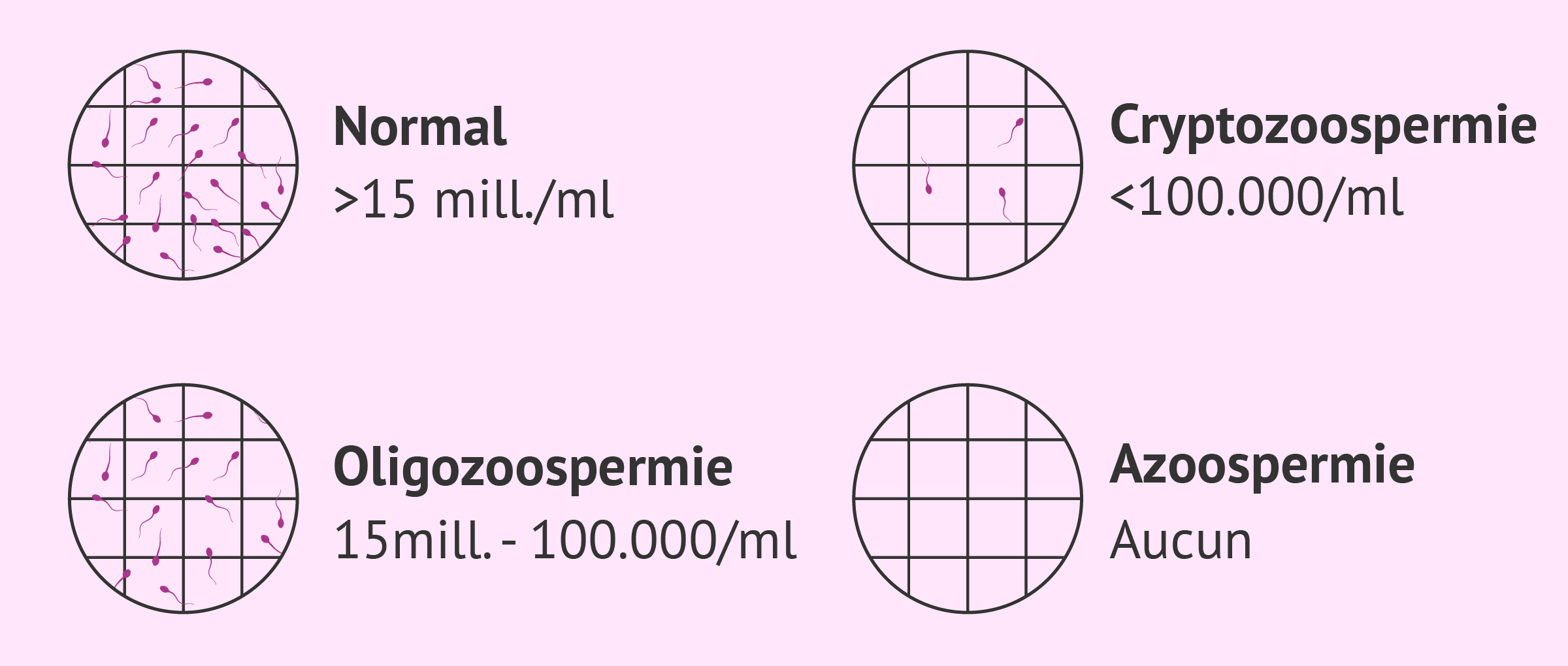 Facteur spermatique