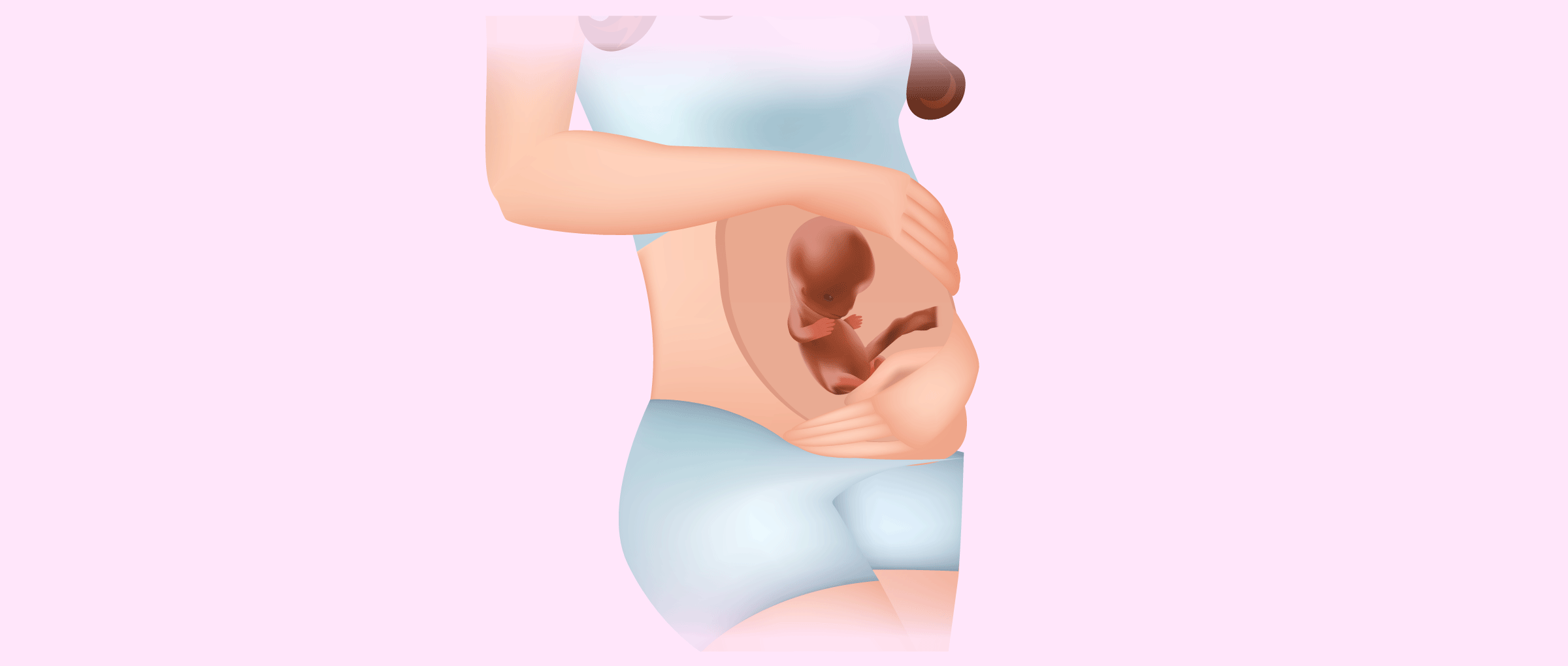 Développement fœtal à 5 mois