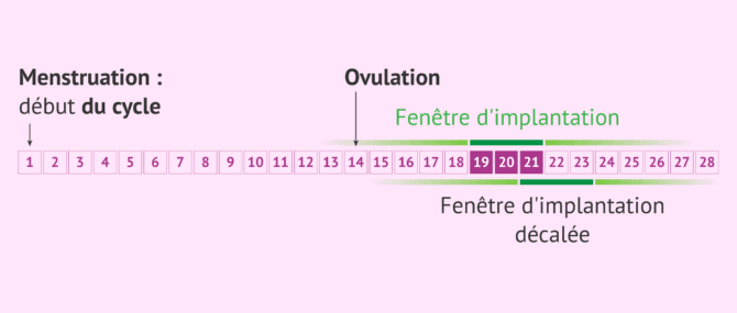 Imagen: Fenêtre d'implantation et test ERA