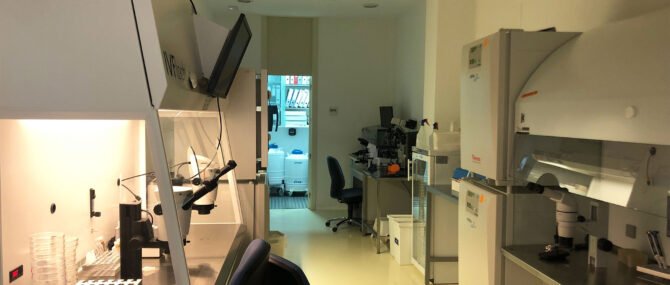 Imagen: Laboratoire de FIV dans