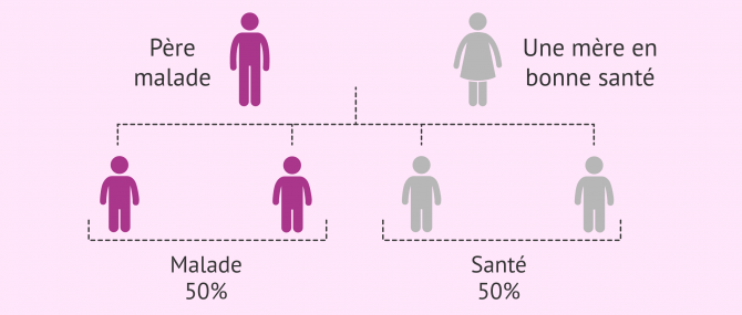 Imagen: Hérédité des maladies autosomiques dominantes