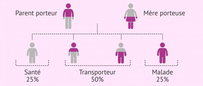 Imagen: Héritage des maladies autosomiques récessives
