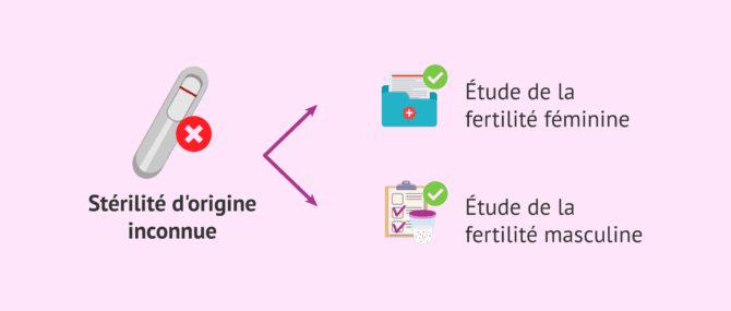 Imagen: Quand parle-t-on de stérilité d'origine inconnue?